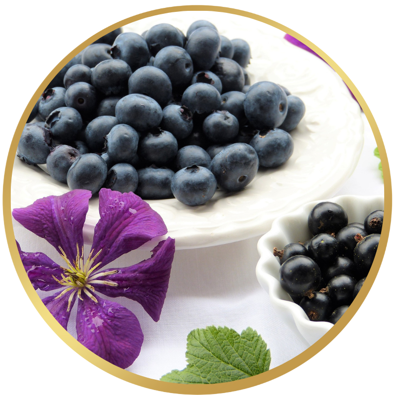 Blueberry Cobbler - Dessert